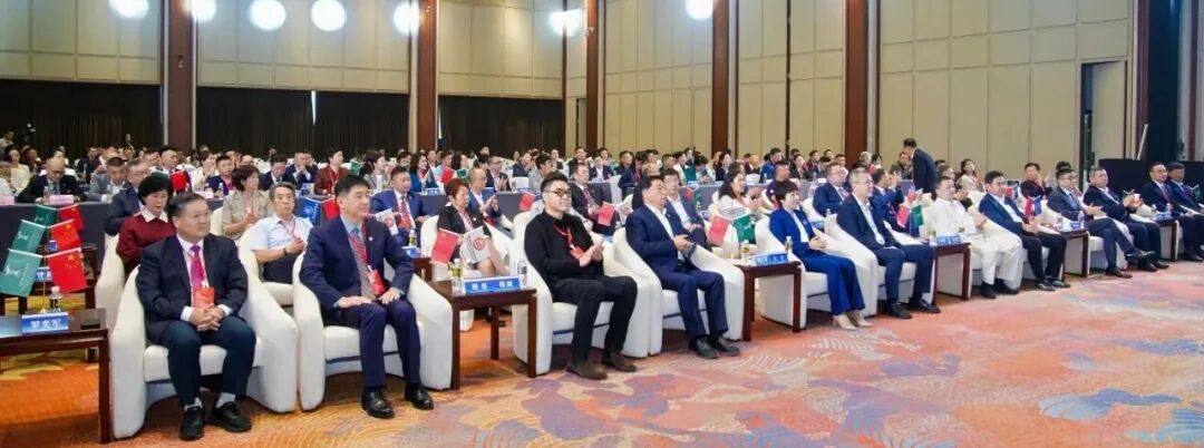 2025博鳌全球民族文旅产业发展大会暨首届中国民族品牌饭店年会-圆满落幕!